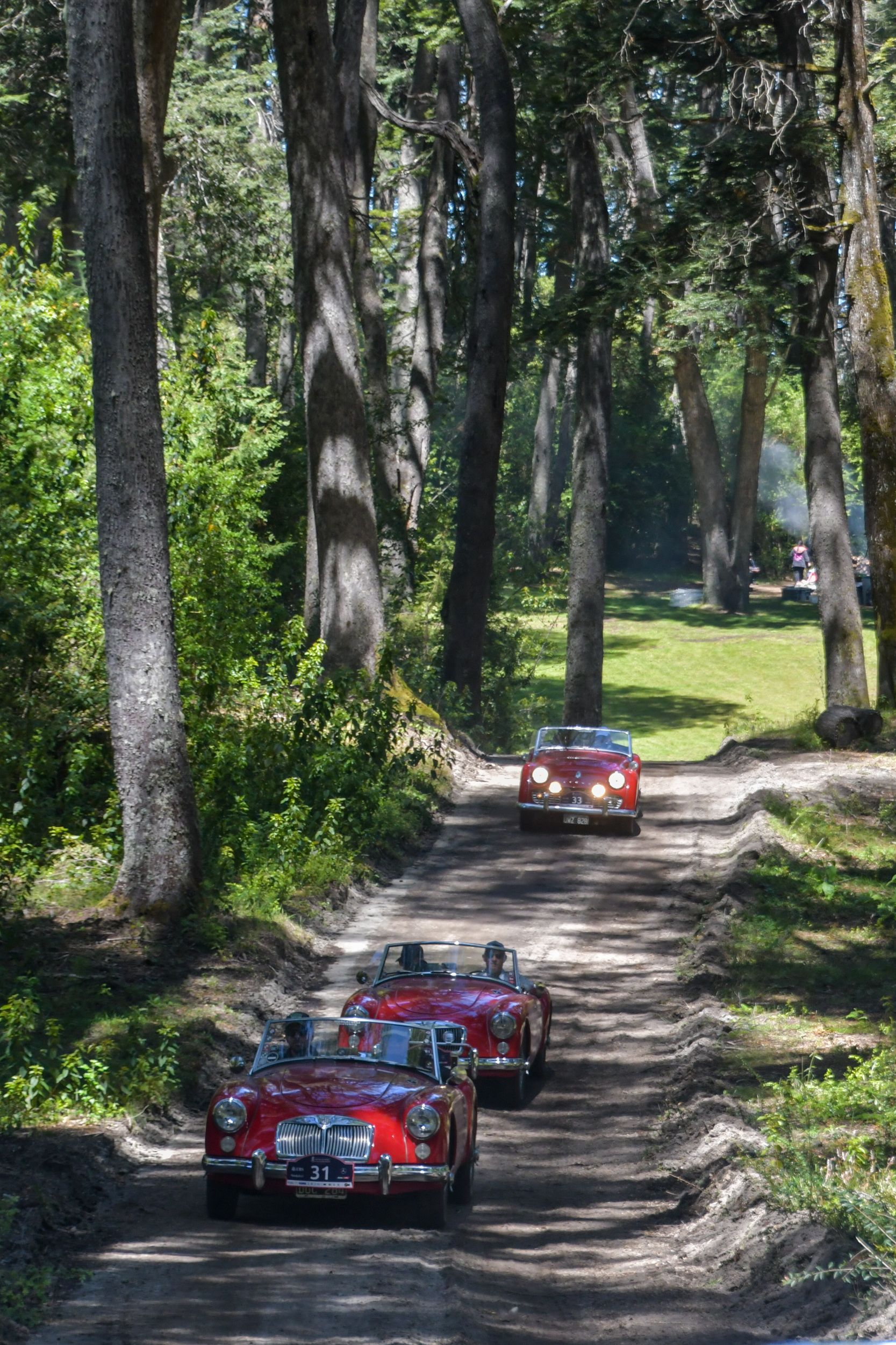 El encanto de manejar un auto sport en los caminos de la Patagonia