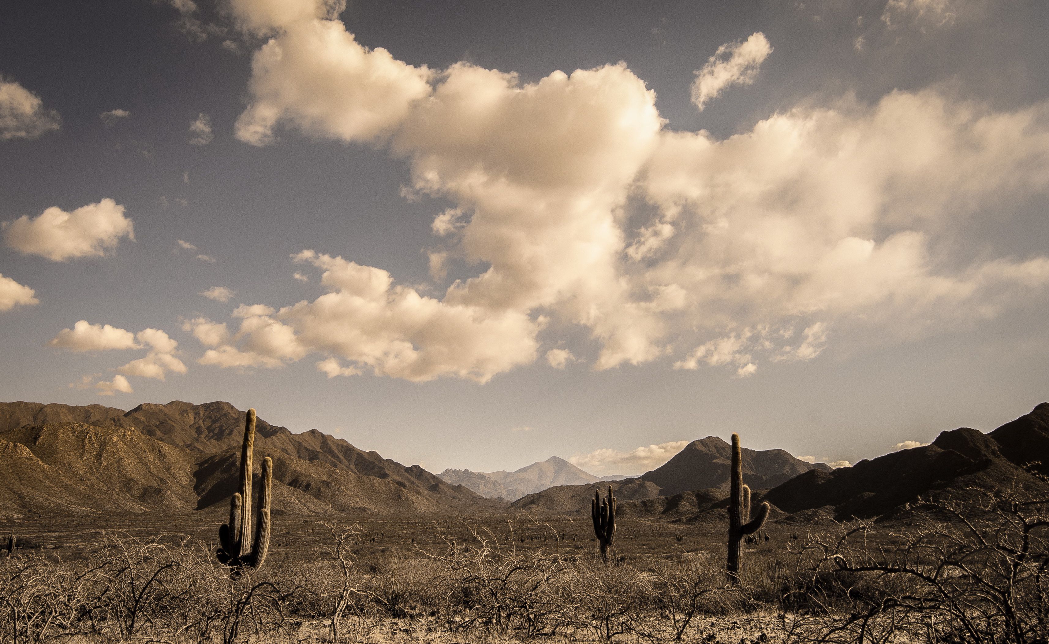 Los Valles Calchaquíes